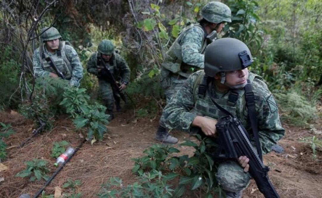 Soldiers stand guard as they destroy poppies during a military operation in the municipality of Coyuca de Catalán, Mexico April 18, 2017- Photo: Henry Romero/REUTERS