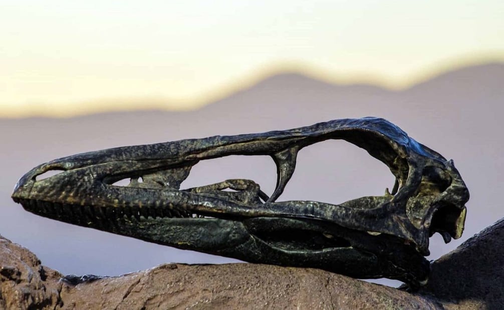 El dinosaurio carnívoro “Xenovenator espinosai” lleva a partir de este año el nombre del paleontólogo Luis Espinosa Arrubarrena. Foto: UNAM