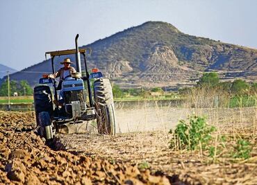 Buscan con laboratorio mejorar productividad del sector agropecuario de Baja California