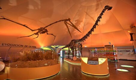 5 museos fabulosos para ir con niños en CDMX