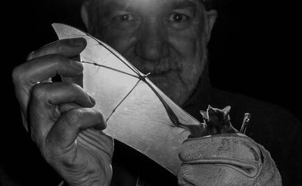 Un apasionado de los murciélagos