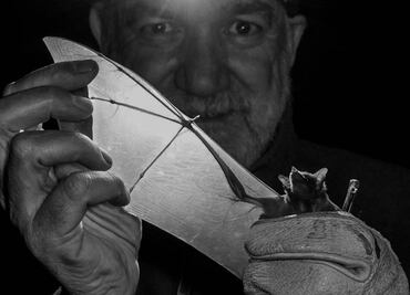 Un apasionado de los murciélagos