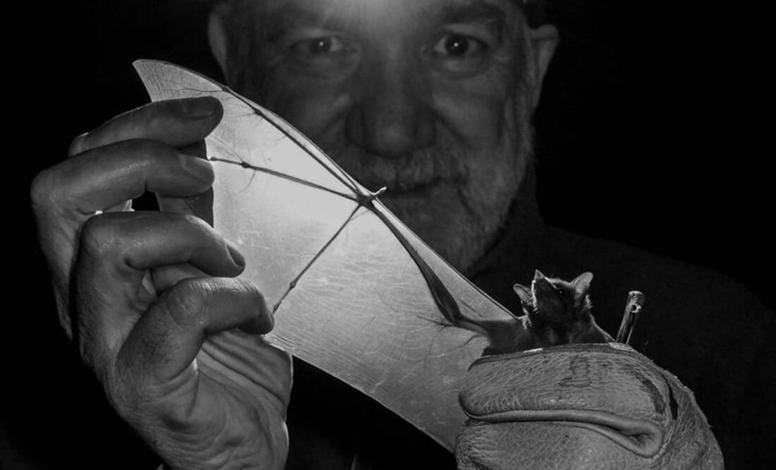 El investigador Rodrigo Medellín. Foto: Joaquín Meza