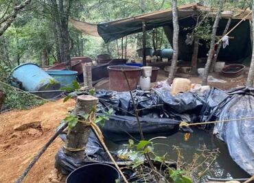 Desmantelan narcolaboratorio de metanfetaminas en zona boscosa de Hidalgo; era operado por personas oriundas de Sinaloa