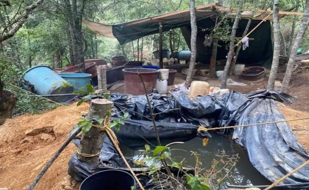 Luego de reportes ciudadanos sobre el lugar, autoridades desmantelan narcolaboratorio de metanfetaminas en zona boscosa de Acaxochitlán, Hidalgo (03/05/2025). Foto: Especial