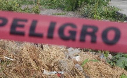 Perros comen cadáver de bebé en Edomex