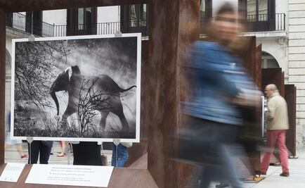 Sebastião Salgado lleva "Génesis" a Rotterdam