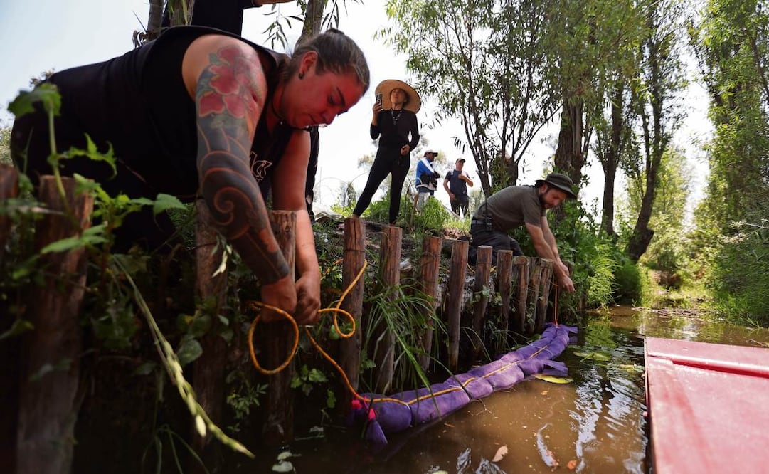 El proceso únicamente se realiza si se trata de contaminante de residuos no peligrosos, explican. Foto: PAOLA REYES/EL UNIVERSAL