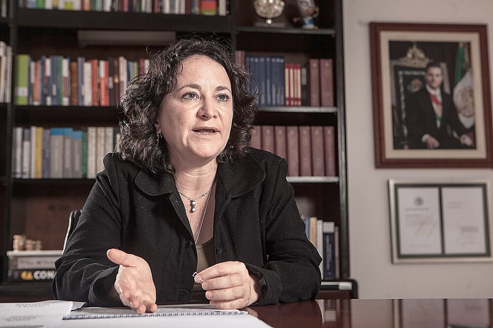 La funcionaria de la Segob dijo que buscan acercarse a la familia de Espinosa a través de Artículo 19 y ofrecerles algún tipo de acompañamiento (GERMÁN ESPINOSA. EL UNIVERSAL)