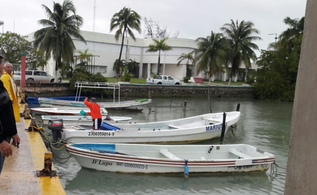 Silvia Hernández/ ELUNIVERSAL