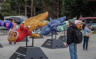 Dónde ver la expo de ajolotes gigantes en la CDMX