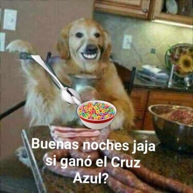 ¿Un perro comiendo cereal con cuchara? Esto es tendencia en redes