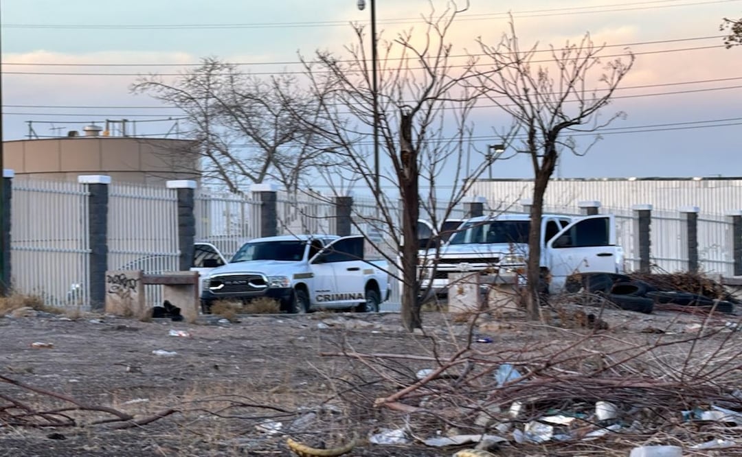 El hallazgo de los cuerpos se registró en la colonia Terrazas del Valle. Foto: Especial