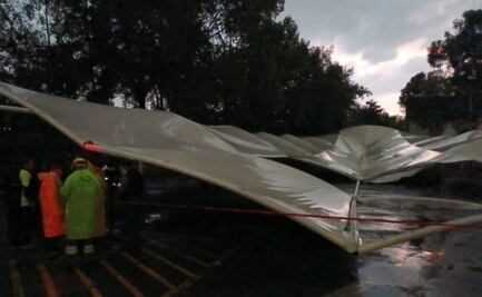 Por lluvias cae estructura metálica y un árbol en la CDMX