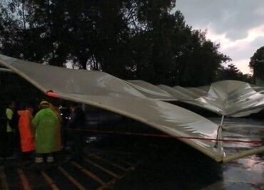 Por lluvias cae estructura metálica y un árbol en la CDMX