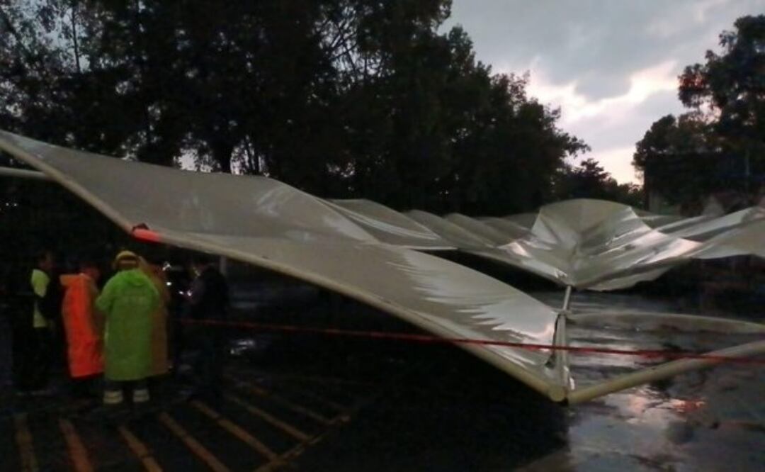 Por lluvias cae estructura metálica y un árbol en la CDMX. Foto: Especial