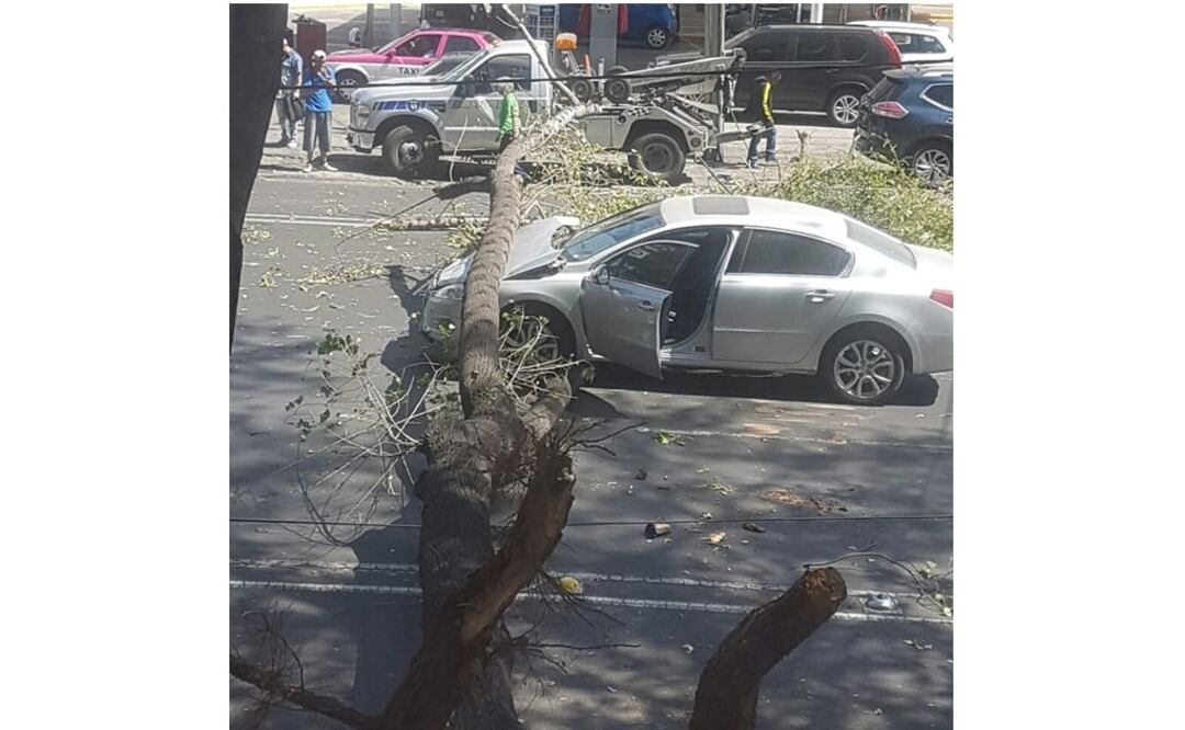 (Foto: Twitter @luismiguelbaraa)