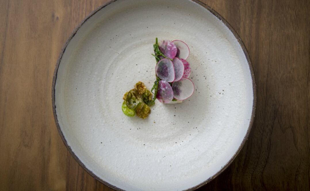 Quintonil, Cocina mexicana con el toque distintivo del chef Jorge Vallejo. (Foto: Cortesía)