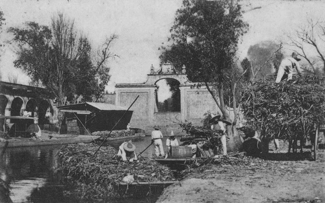 De ruta lacustre a Parque Lineal La Viga