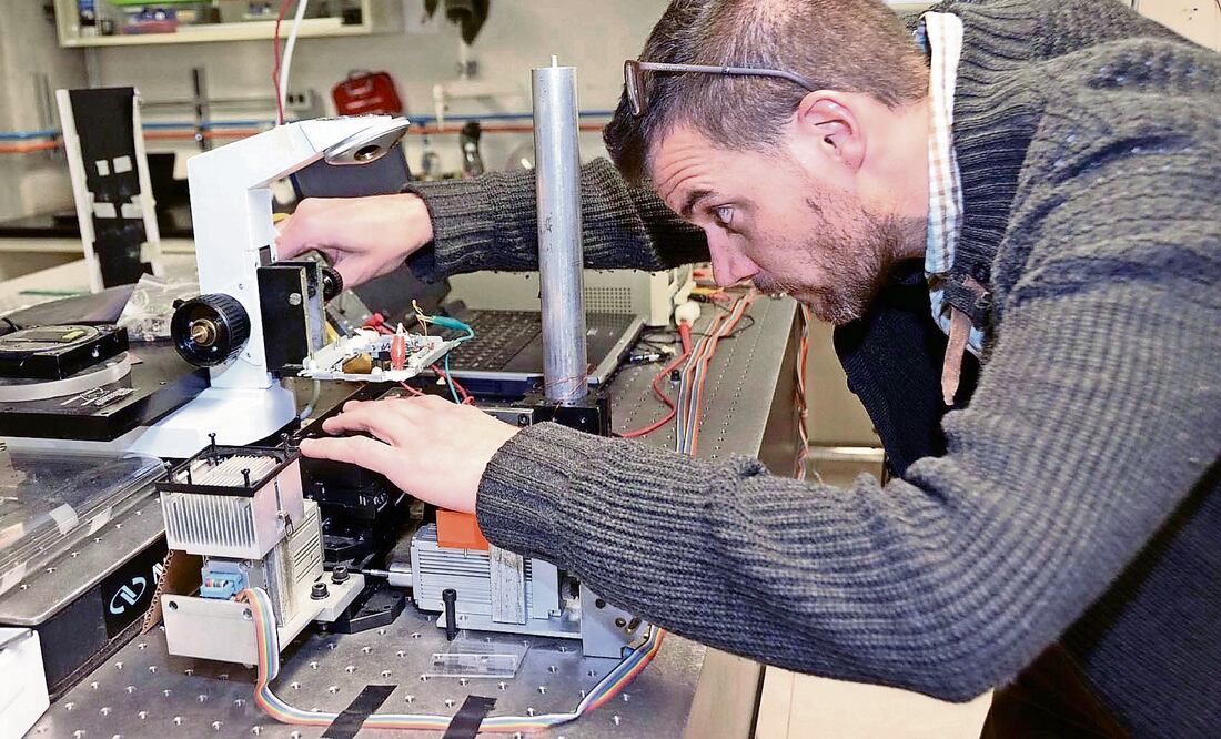 La idea es que sean transparentes para que, como las cajas de Petri, permitan estudiar células bajo el microscopio