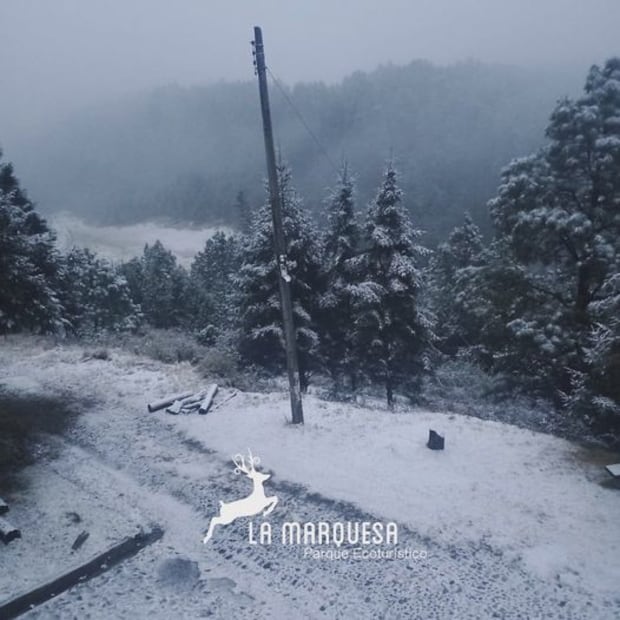 Foto: La Marquesa Parque Ecoturístico