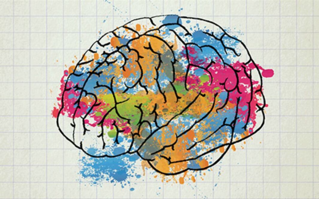 La arquitectura del cerebro infantil