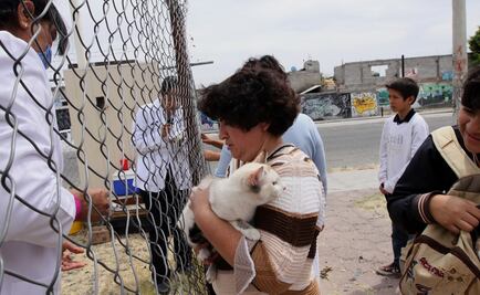 Inicia semana de vacunación antirrábica con 15 millones de dosis gratuitas