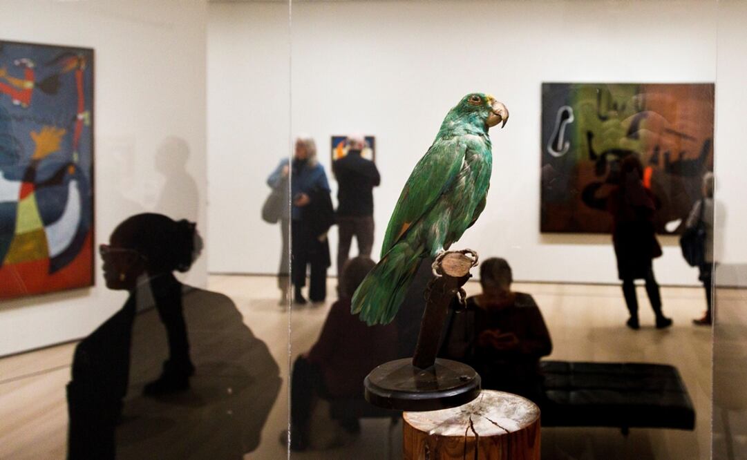 Foto: EFE/ Justin Lane