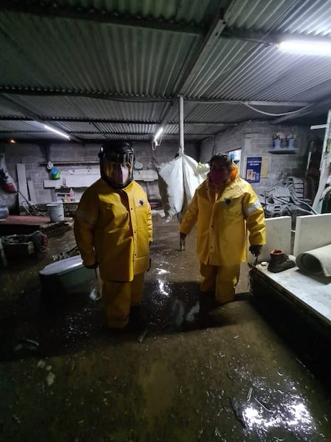 Captan "ríos" de aguas negras tras intensa lluvia al sur de la CDMX