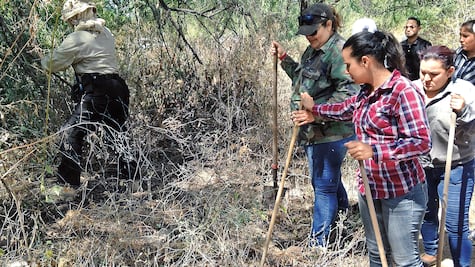 Rastreadoras. Madres en duelo, buscan a sus desaparecidos
