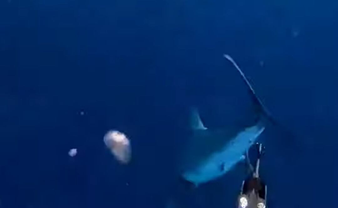 Foto: Tomada del video 