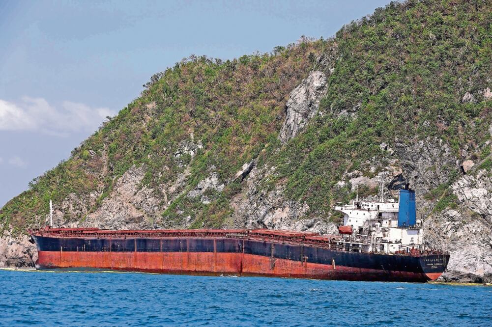 Más de 70 funcionarios de la Profepa han sido capacitados para el programa en puertos, aeropuertos y fronteras (ARCHIVO EL UNIVERSAL)