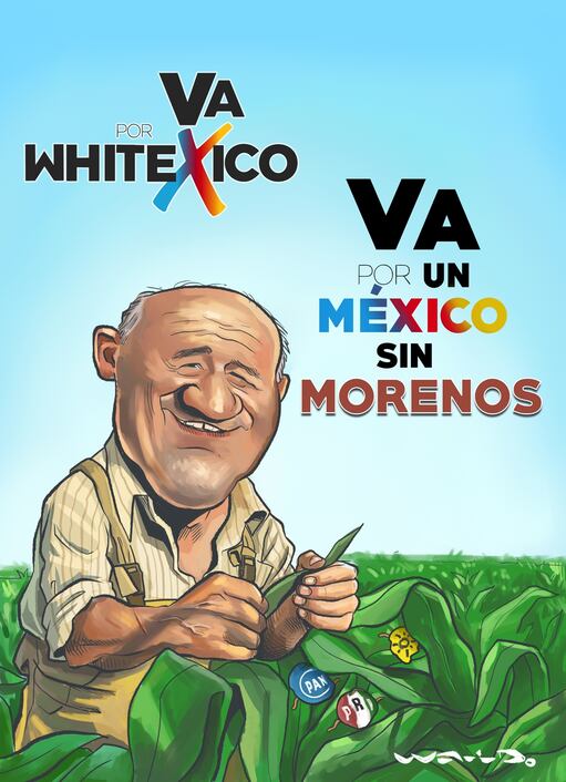 Decodificando el mensaje