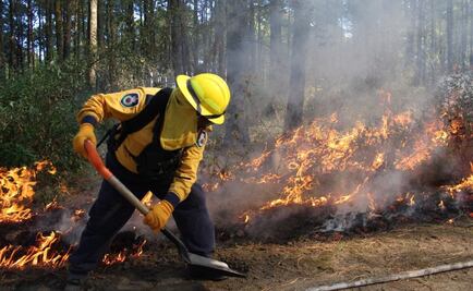 Inicia 2018 con menos incendios forestales que el año pasado
