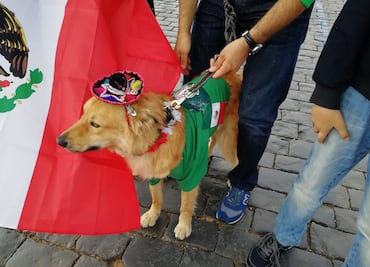 Vicente, la sensación en la Plaza Roja