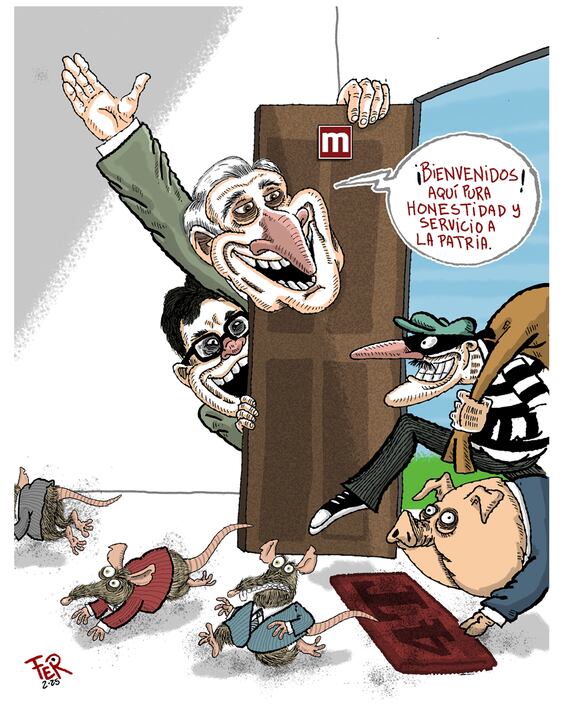 Cartón de FER