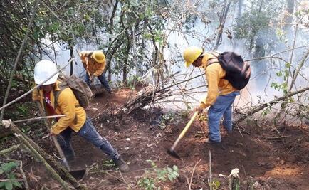Sofocan incendios en corredor biológico en Morelos