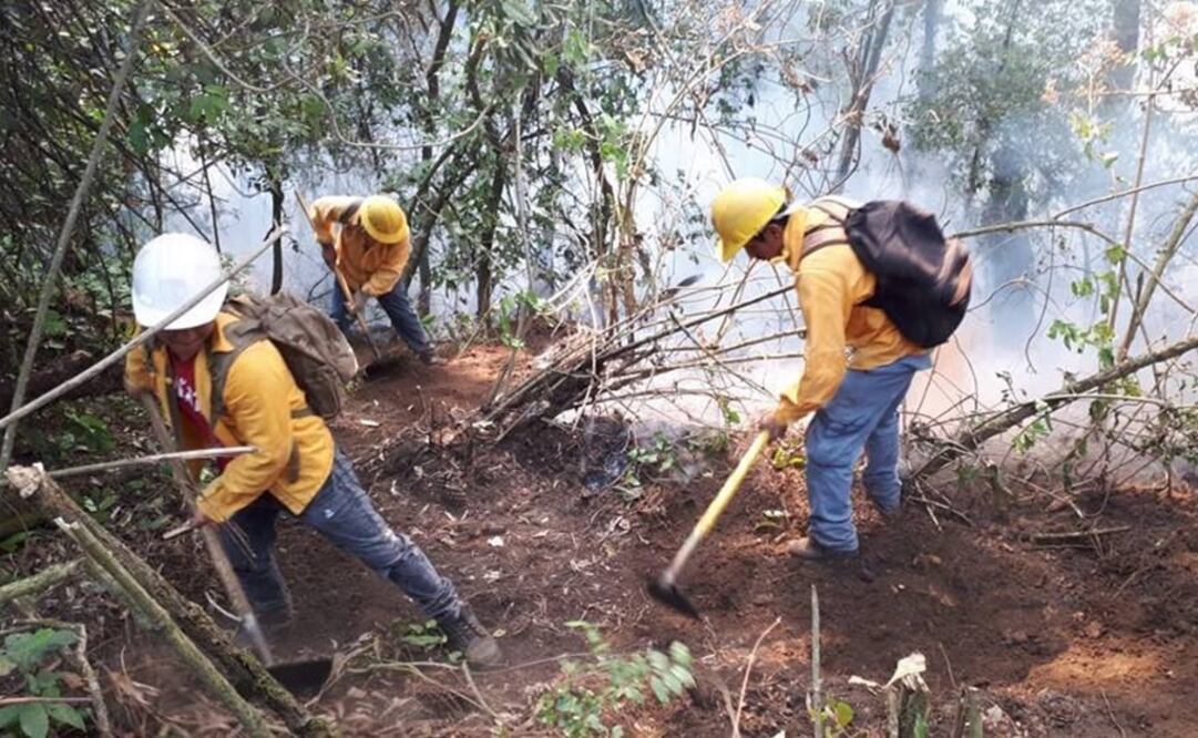 Foto: tomada de Twitter @CEECA_Morelos