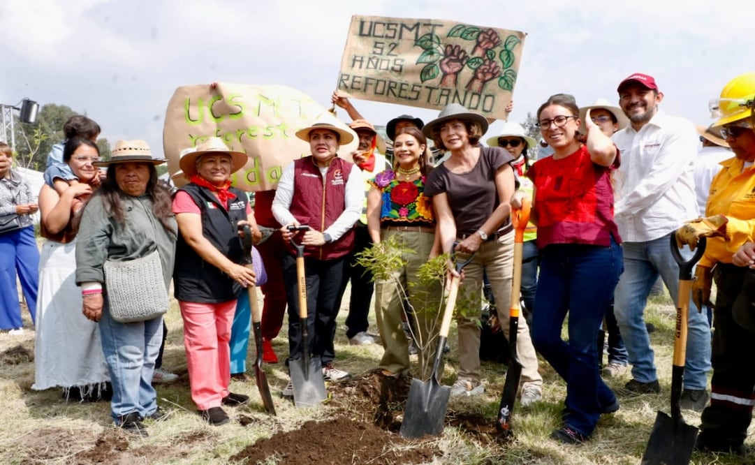 CDMX planta 35 mil árboles en Jornada Nacional de Reforestación; Clara Brugada anuncia nuevo programa de arbolado urbano. Foto: Especial