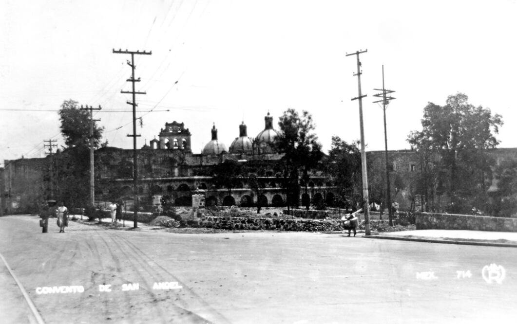 Las colonias del sur donde hubo grandes huertas de Olivos