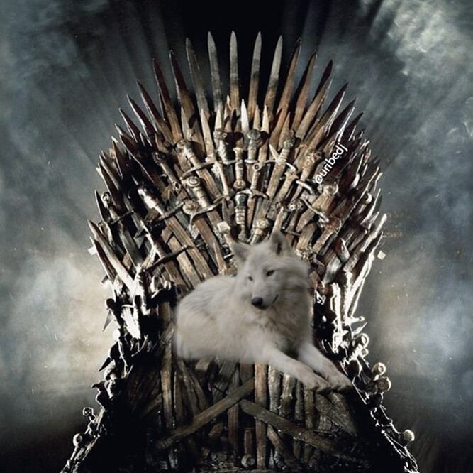 Así se vive el penúltimo capítulo en las redes sociales / Foto: Twitter