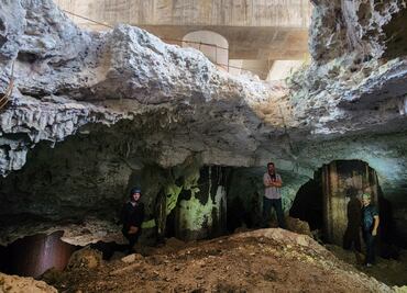 Tren Maya: un daño brutal