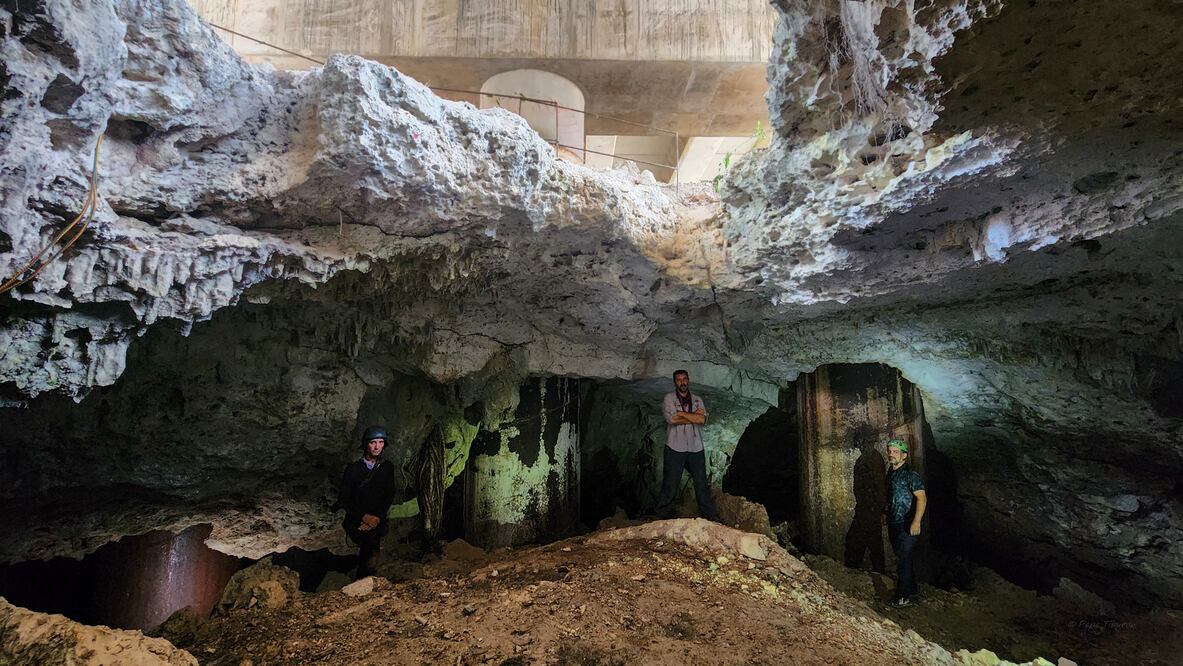 Sélvame está conformado por colectivos de ciudadanos, comunidades, académicos y buzos./ Cortesía Sélvame del tren