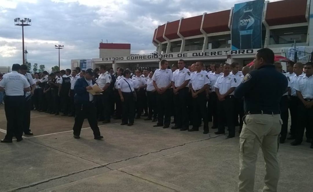 Fuerte dispositivo de seguridad para Gallos-Santos