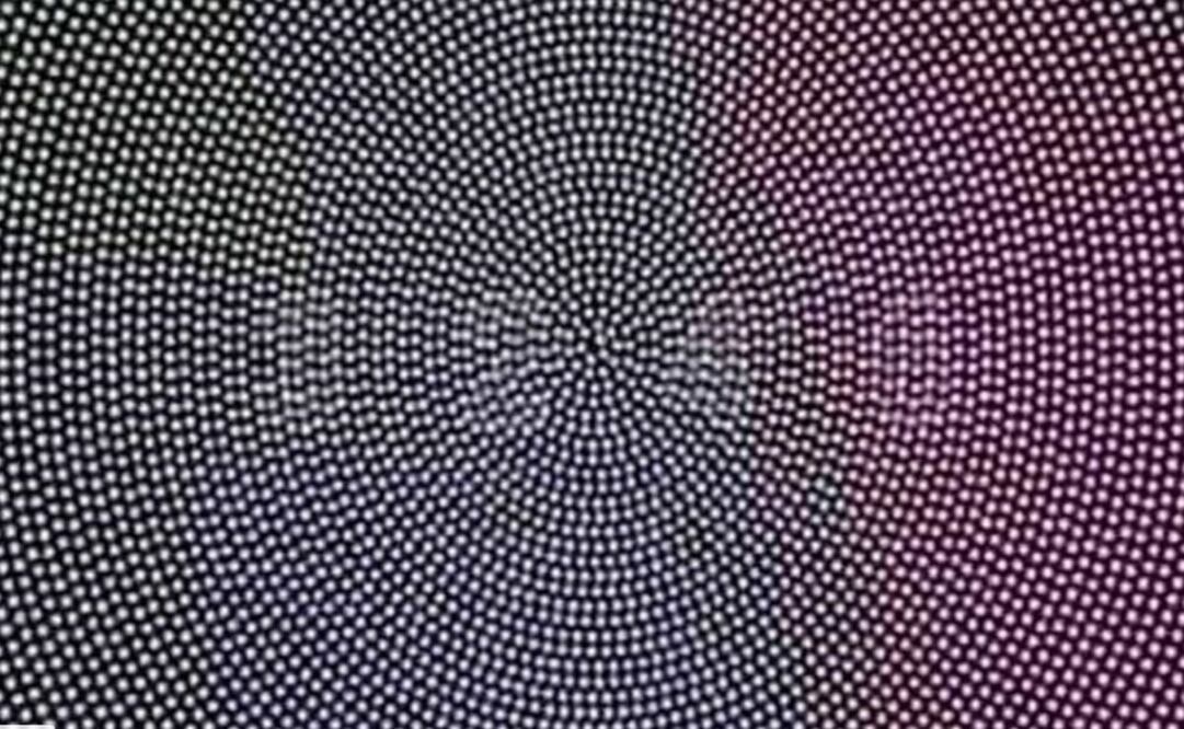 Se trata de una imagen formada por puntos negros sobre un fondo blanco