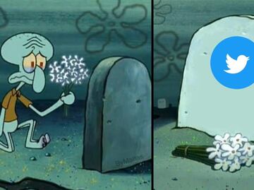 ¡Adiós Twitter! Con memes usuarios se despiden del pajarito azul
