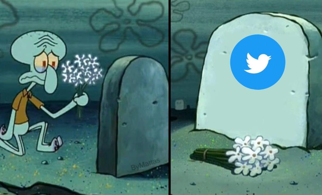 Imagen: captura de pantalla