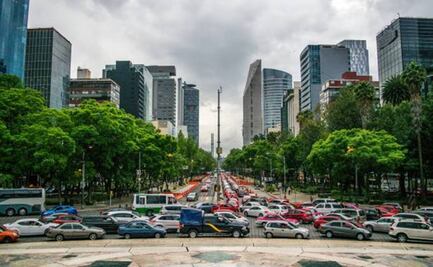 ¿Qué autos no circulan este jueves 24 de noviembre?