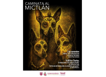 ¿Tienes un perro Xoloitzcuintle? Autoridad del Centro Histórico te invita a llevarlo a la Caminata al Mictlán el próximo 2 de noviembre