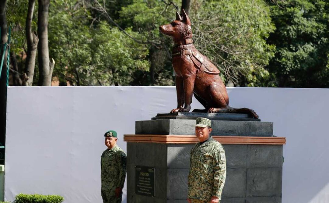 Proteo falleció durante labores de búsqueda tras los sismos que se registraron en esa nación. Foto: Diego Simón – EL UNIVERSAL
